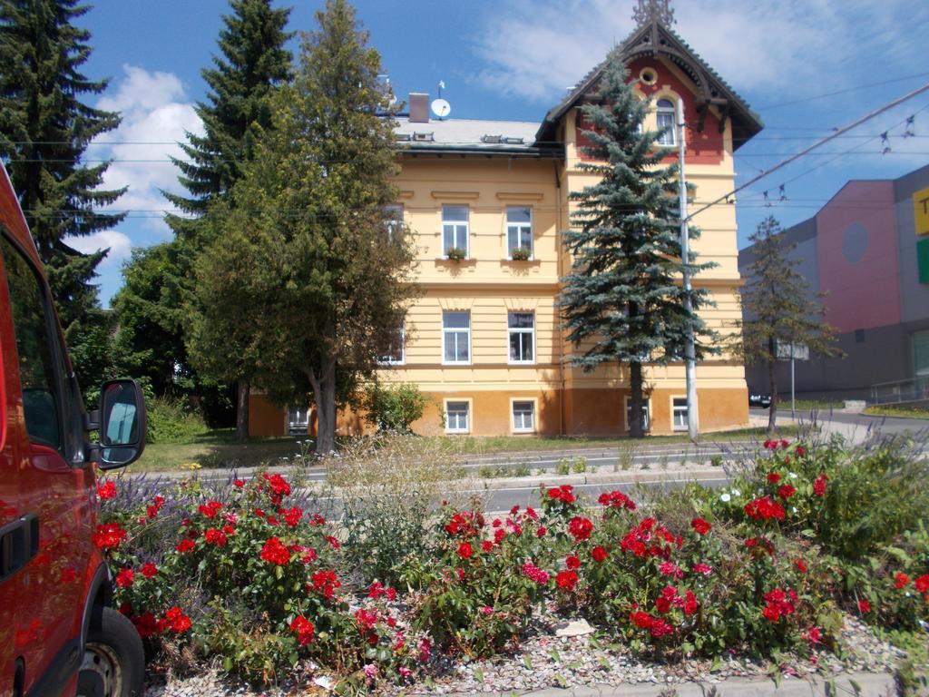Villa Konig Mariánské Lázně Exteriér fotografie